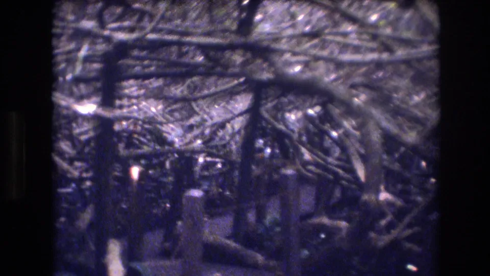 Rustic wooden railings, branches, and dense foliage fill the frame, continuing the handheld outdoor sequence from the Honolulu 1977 home movie.