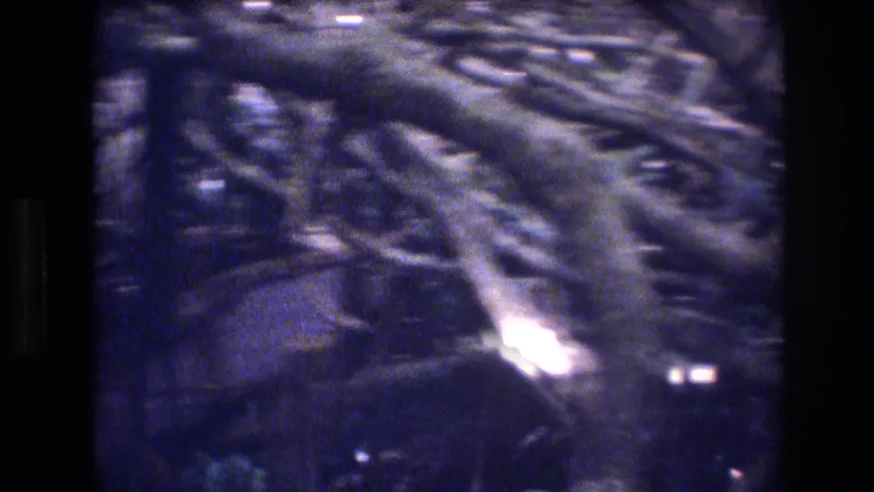 1977 Honolulu 8mm frame showing a close, soft-focus view through tangled bare shrub branches with dark gaps and bright highlights.