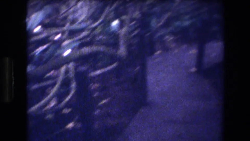 1977 Honolulu, Oahu 8mm frame with blurred roots or vines, dark foliage, and a narrow ground-level passage suggested along the right side.