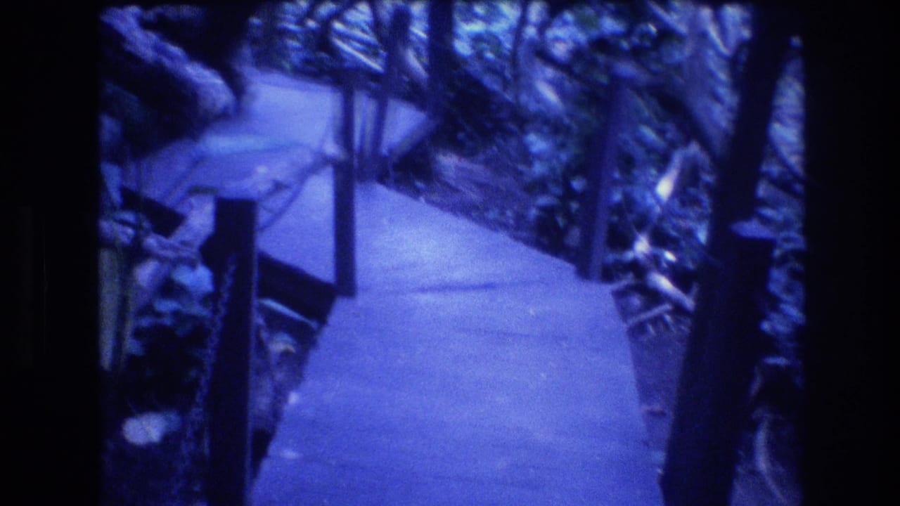 Wooden boardwalk running through dense tropical plants.