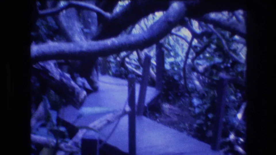 1977 Honolulu-area home-movie frame showing a curving wooden boardwalk beneath thick branches and surrounding tropical plants.