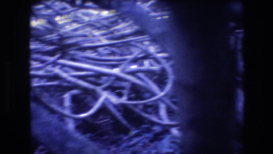 1977 Honolulu Oahu 8mm frame with a dark tree trunk at right and looping branches crossing blue shadowed vegetation.