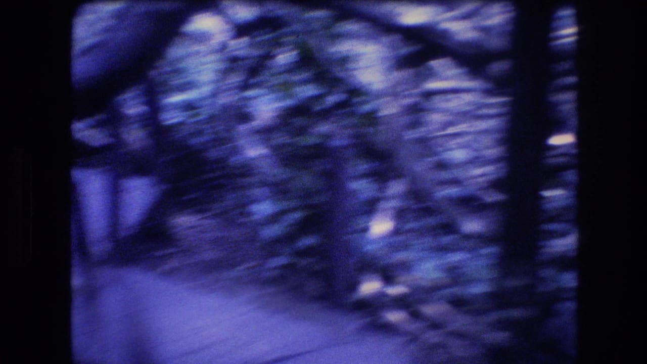 Blurred elevated walkway bordered by dense trees and vegetation.