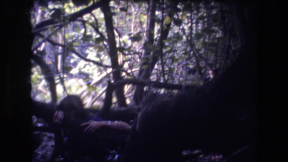 1977 Honolulu 8mm frame showing a partially obscured person peeking from behind fallen branches and a dark tree trunk in dense foliage.