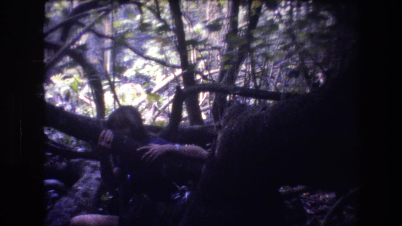 1977 Honolulu Oahu 8mm frame showing a long-haired person partly obscured by shadows, fallen logs, and dense forest vegetation.