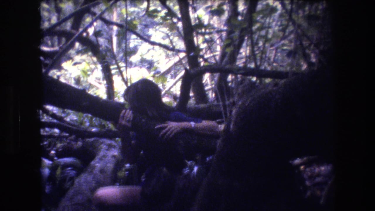 Person in a blue top seated beside logs in a dark wooded area.