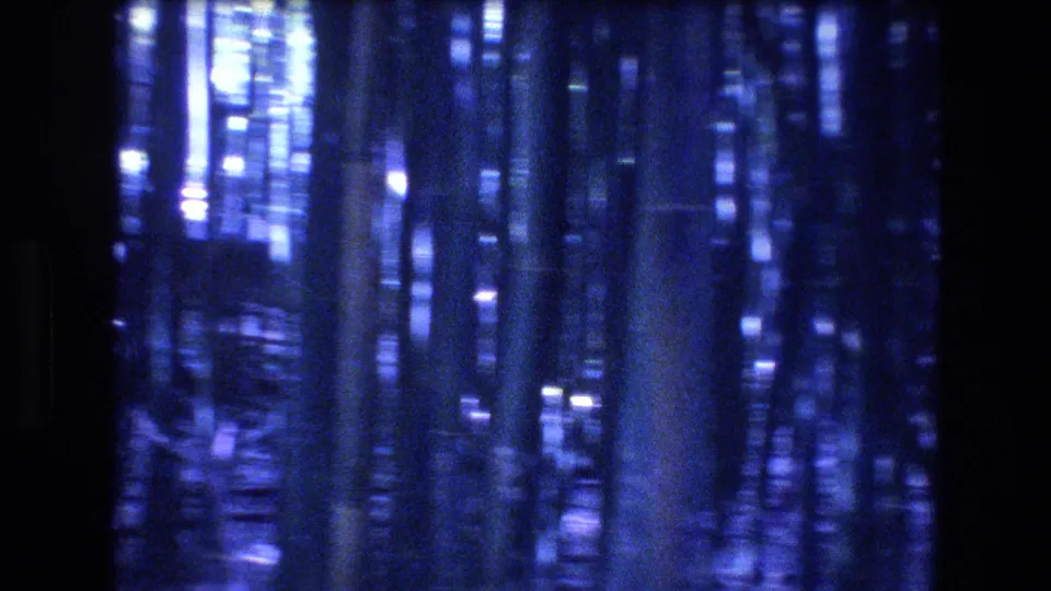 1977 Honolulu, Oahu 8mm frame with vertical tree trunks and narrow shafts of light in a dark, blue-purple forest interior.