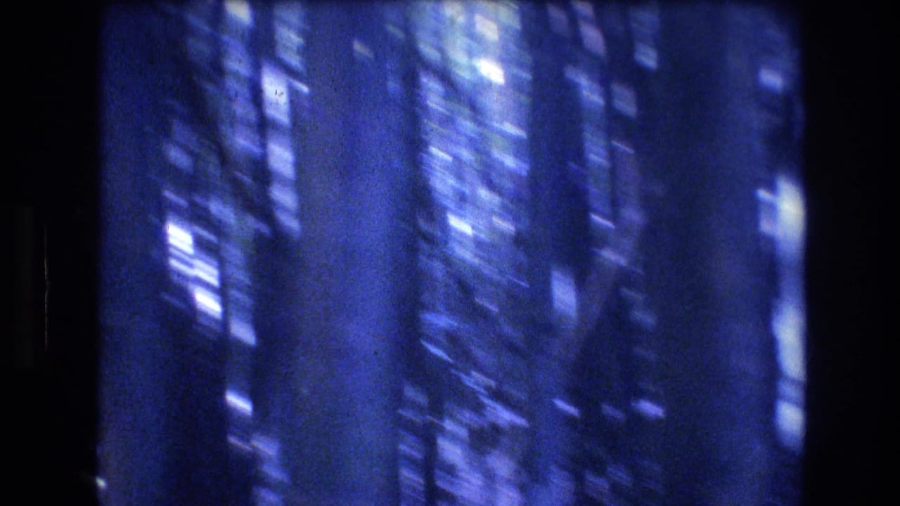 Blurred vertical trunks and forest foliage in a dark blue handheld frame.