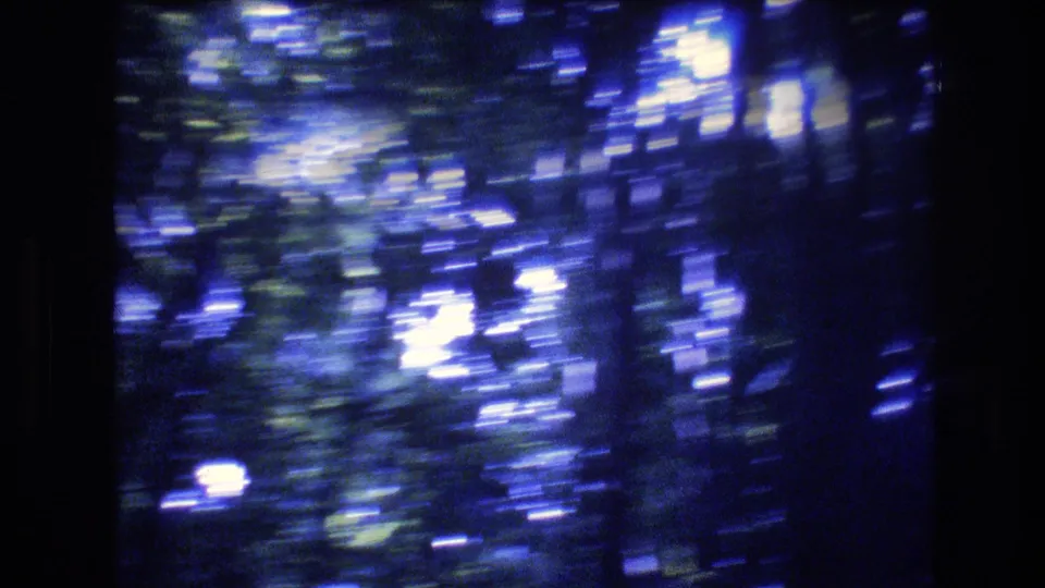 1977 Honolulu, Oahu 8mm frame with heavy handheld blur across blue-tinted woodland, bright daylight patches, and dark tree shapes.
