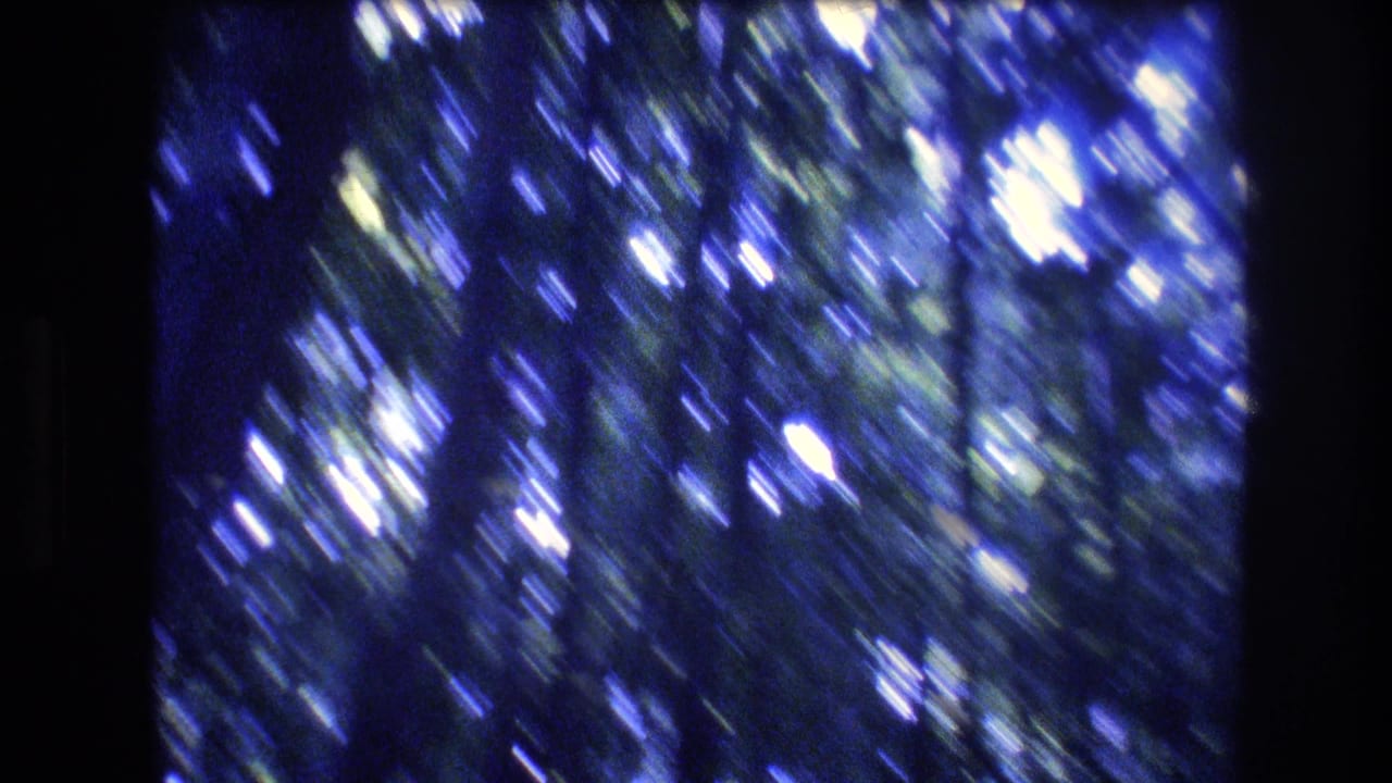 Abstract blue forest blur with bright scattered highlights and streaked foliage.