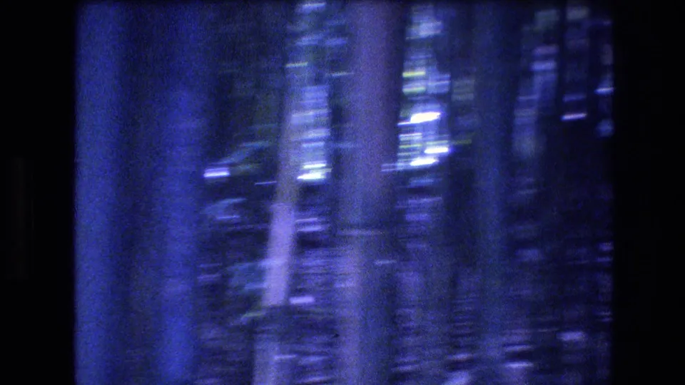 1977 8mm Honolulu, Oahu frame showing a soft blue-toned forest view with multiple blurred trunks and faint foliage details under low, uneven exposure.