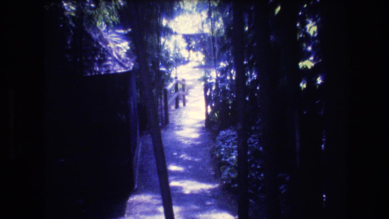 Narrow path receding through dark foliage with bright sunlight ahead.