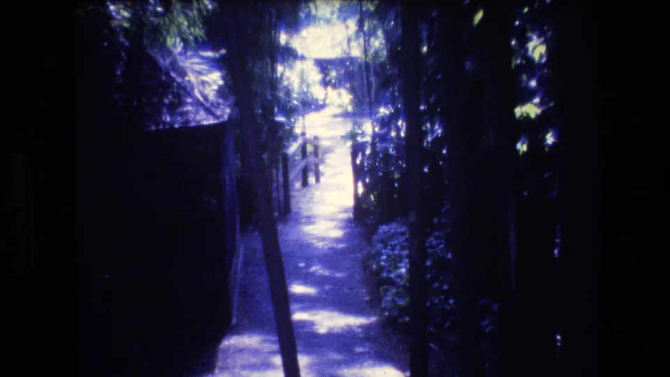 Sun-dappled path in Honolulu Oahu 1977 footage recedes through dense shadowed vegetation, with a small distant figure barely visible near the brighter opening.