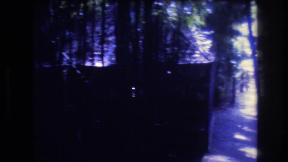 Handheld 8mm view along a narrow Honolulu Oahu forest path, with heavy shadowed leaves in the foreground and a bright sunlit stretch ahead.