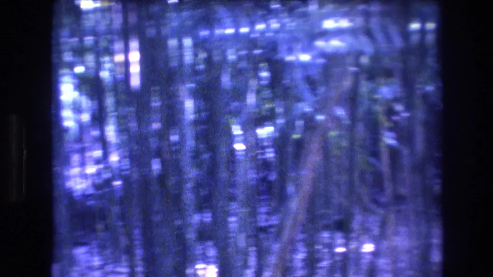 Blue-green 8mm frame from the Honolulu Oahu forest path clip showing soft vertical tree forms, dense leaves, and streaked highlights from handheld movement.