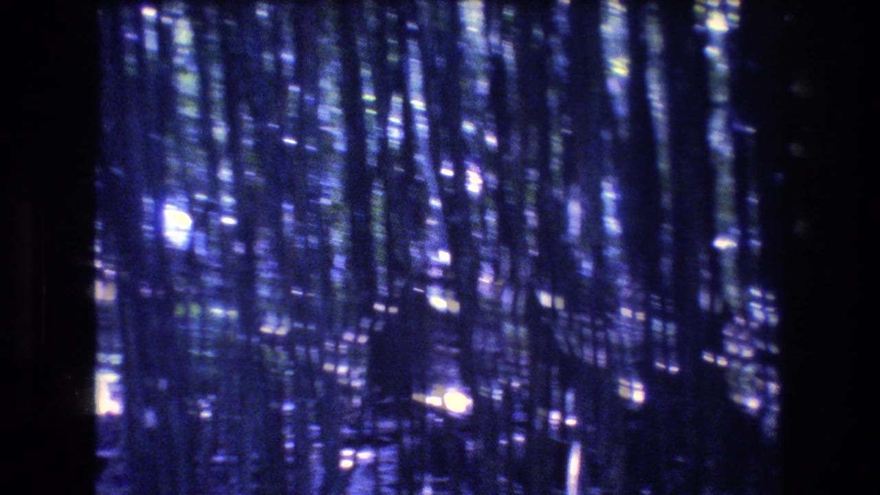 Dark blue forest view with vertical trunks and small bright light patches.
