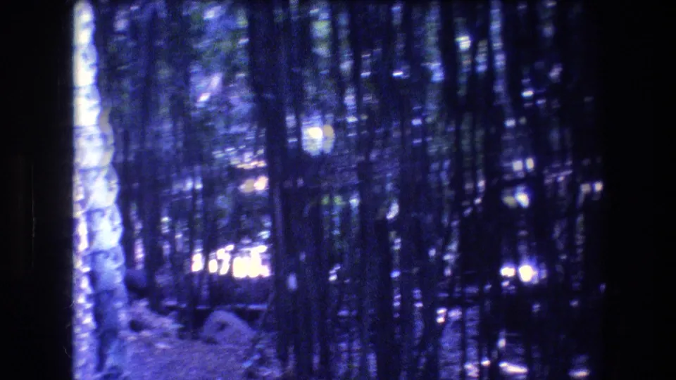 1977 Honolulu/Oahu 8mm frame showing a handheld, blue-tinted forest view with trunks, dim ground cover, bright light near the left border, and projected film edges.