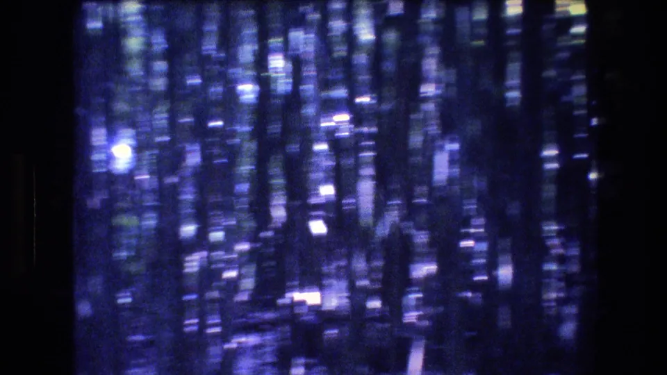1977 Honolulu/Oahu home-movie frame showing dense vertical tree patterns, bluish-purple exposure, bright filtered light points, soft focus, and black projected-frame borders.