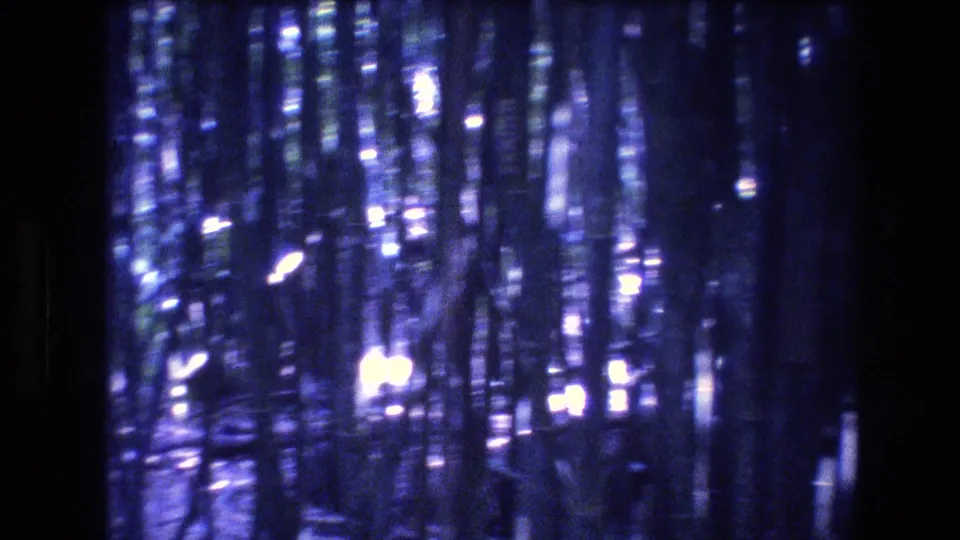 1977 8mm footage frame from Honolulu, Oahu showing a soft-focus bamboo forest with shimmering white highlights and heavy blue-violet tinting.