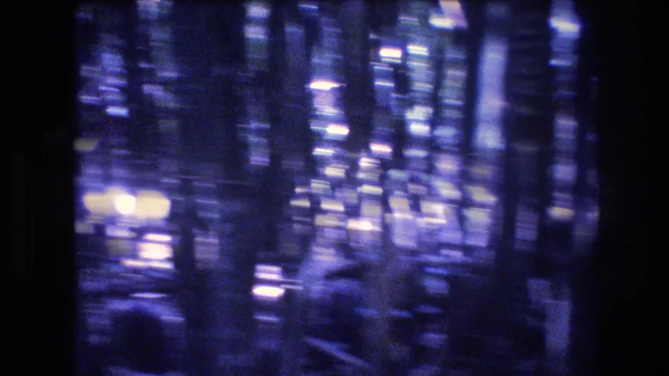 1977 Honolulu 8mm frame showing a blurred moving view through bamboo, with bright reflected light and shadowed forest floor.