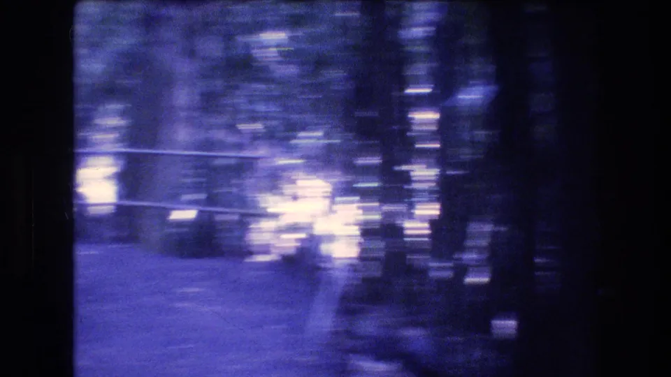 1977 Honolulu home-movie frame looking through a bamboo grove with a shadowed path-like opening, strong motion blur, and scattered filtered light.