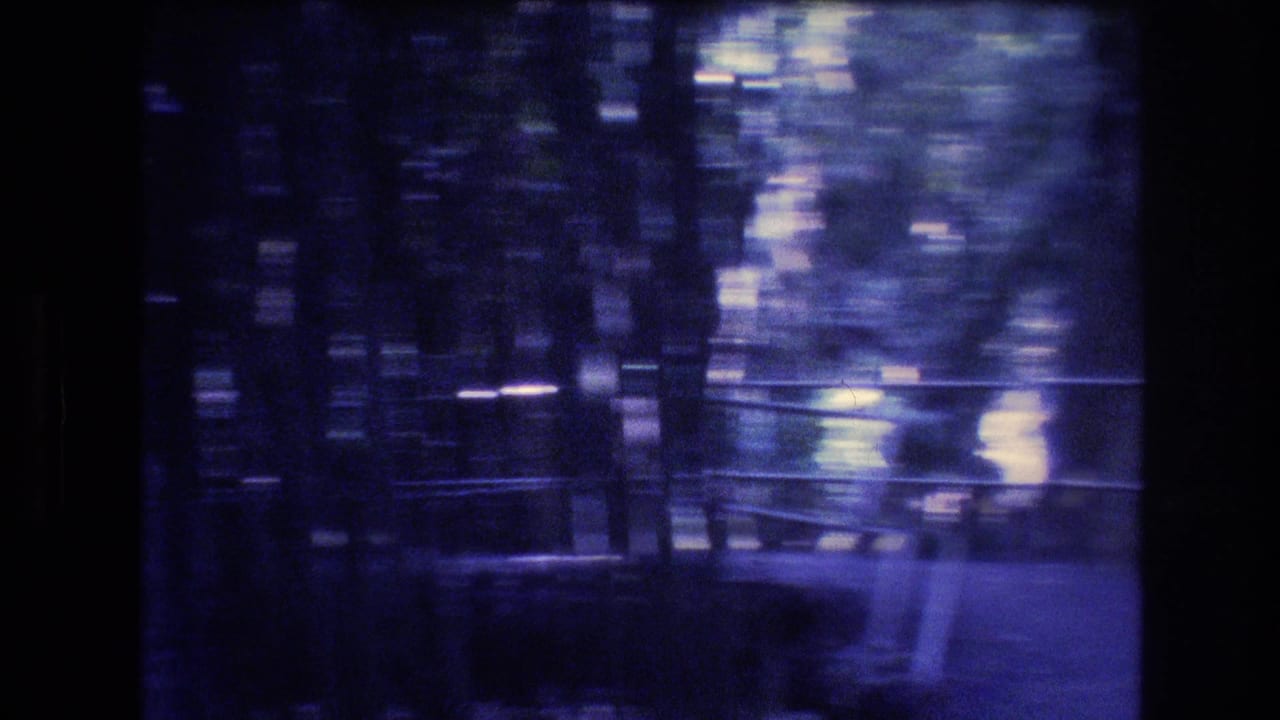 Shaky view of a wooded path with railings seen through dark film edges.
