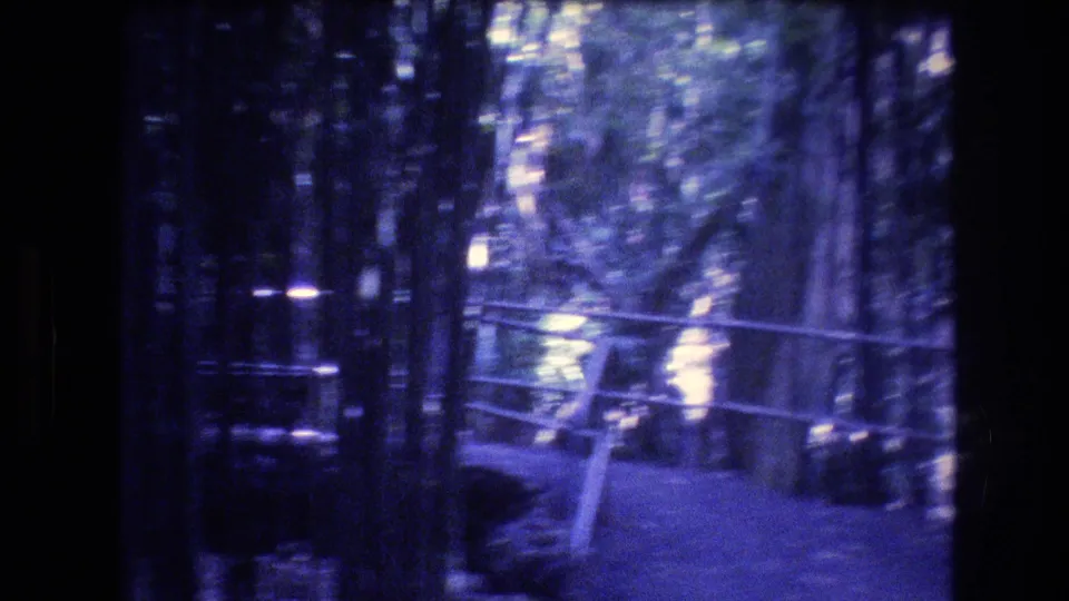 This 1977 Oahu home-movie still shows a shaky, blurred view of a narrow walkway or bridge bordered by metal railings and surrounded by tall bamboo-like trunks.