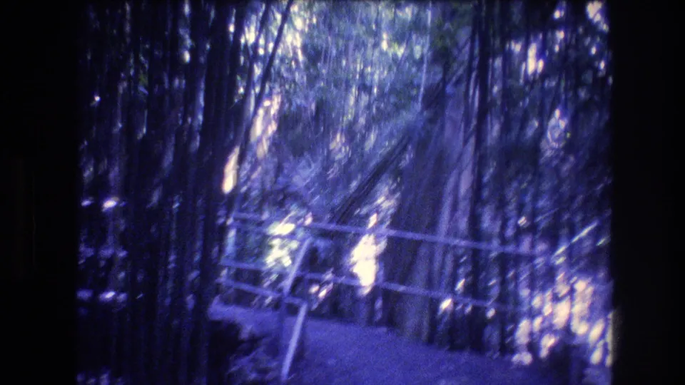 A late frame from the 1977 Oahu 8mm clip shows the walkway continuing through dense bamboo, with railings crossing the lower frame and bright patches of daylight in the canopy.