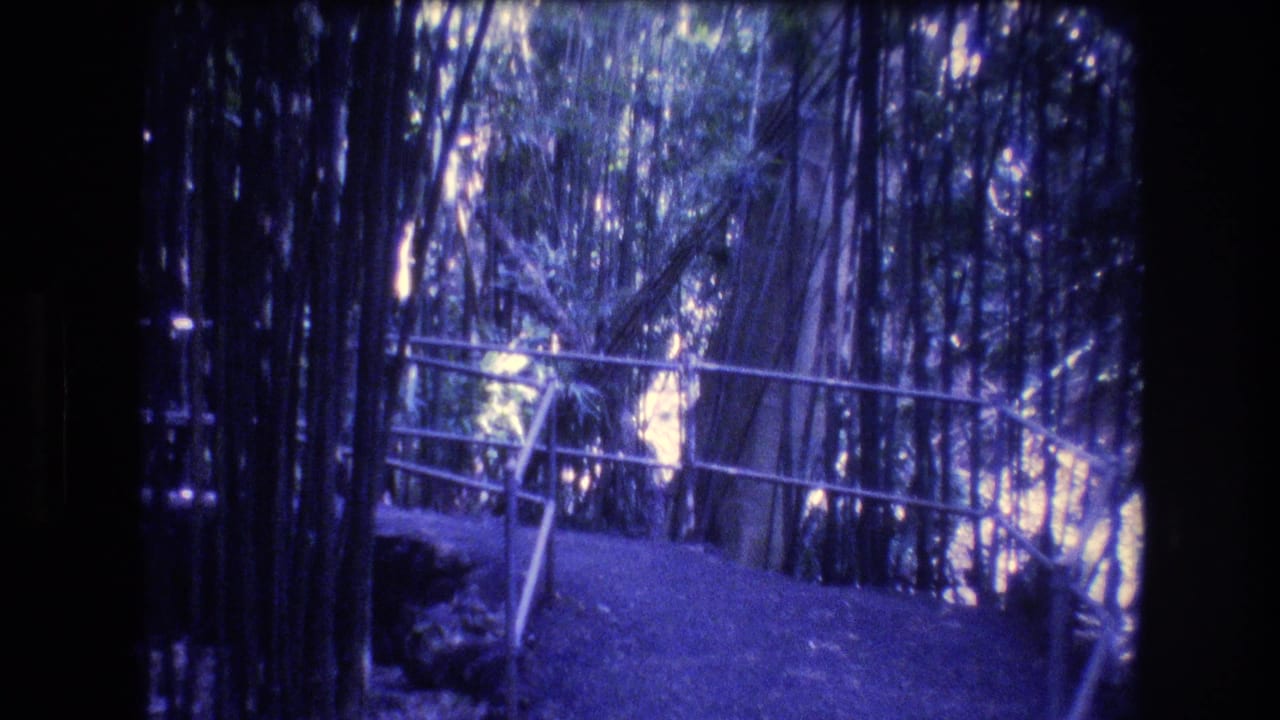 Narrow path and railing running through dense bamboo.