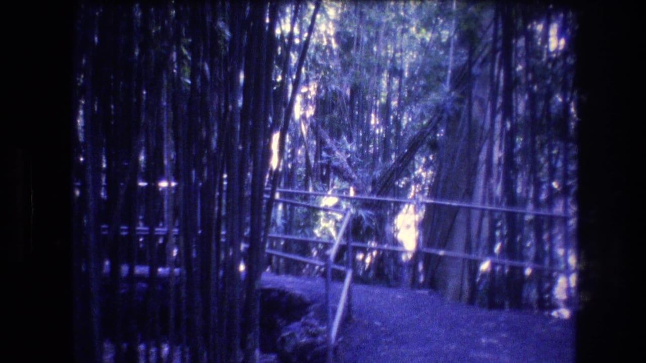 Handheld 8mm view of a maintained bamboo walkway in Honolulu, Oahu, with vertical stalks framing the path and railings.