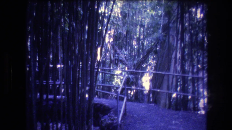 Handheld 8mm view of a maintained bamboo walkway in Honolulu, Oahu, with vertical stalks framing the path and railings.