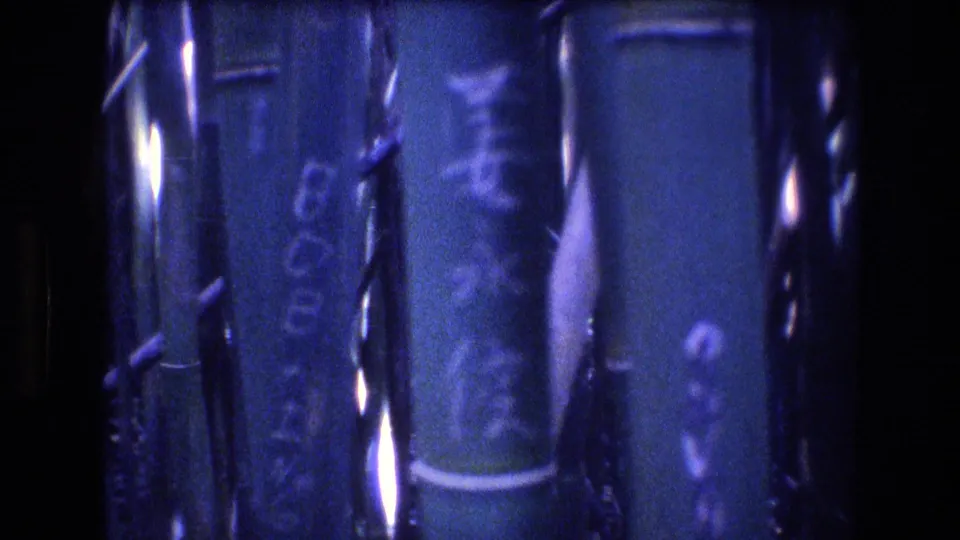 Close 1977 home-movie frame of bamboo trunks near the path, with faint markings visible on the stalks and the railing partly seen behind.