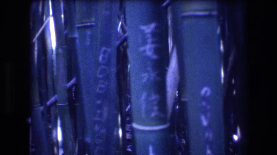 Close-up from the Honolulu, Oahu 8mm clip showing bamboo stalks with faint carved or written markings and strong blue-purple film fading.
