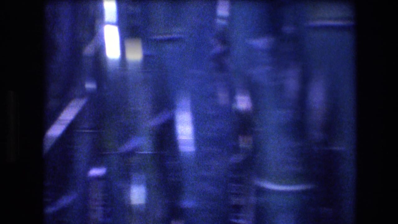 1977 Honolulu 8mm frame showing a soft, blue-tinted close view of dense bamboo stalks with glossy highlights and dark gaps between culms.