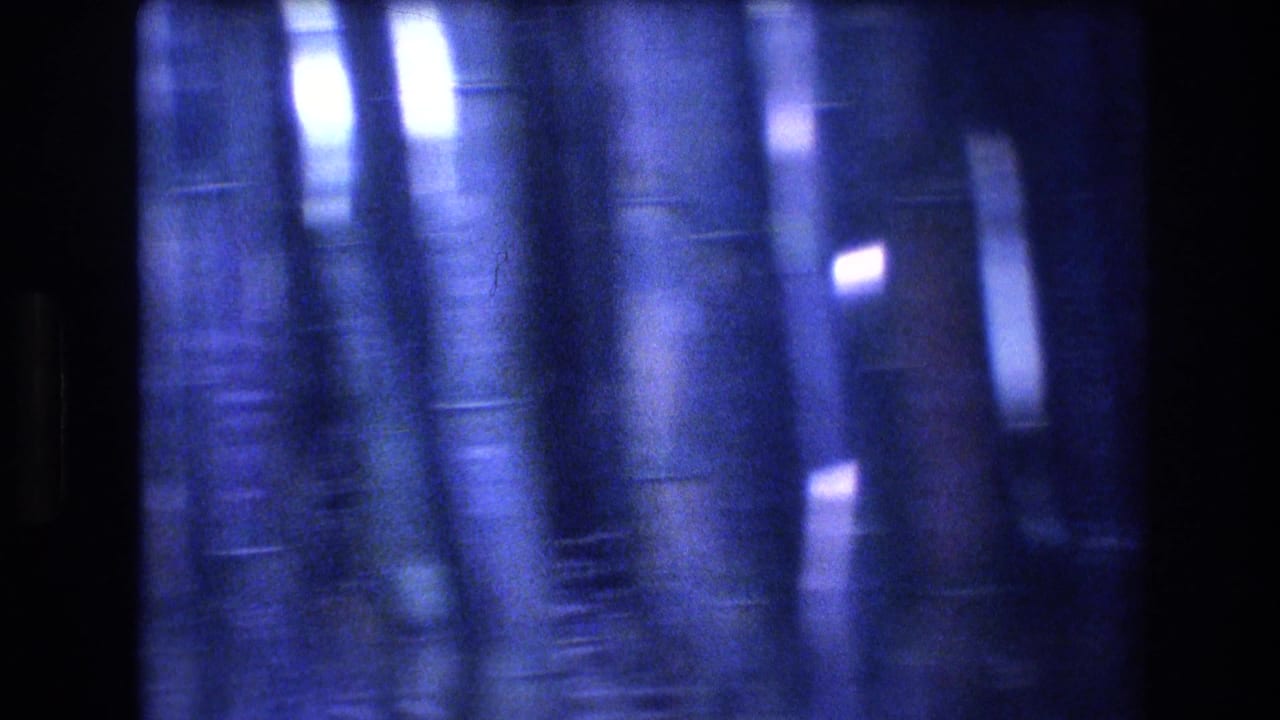 Blue-toned 8mm frame from the Honolulu bamboo grove, showing tightly spaced trunks, reflective streaks, and heavy soft-focus film grain.