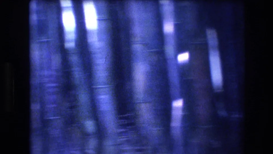 Blue-toned 8mm frame from the Honolulu bamboo grove, showing tightly spaced trunks, reflective streaks, and heavy soft-focus film grain.