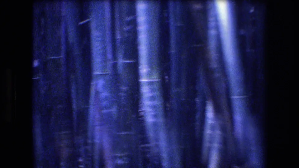 1977 Honolulu, Oahu 8mm frame showing a close, blurred view of bamboo stems with saturated blue-purple color and filtered light.