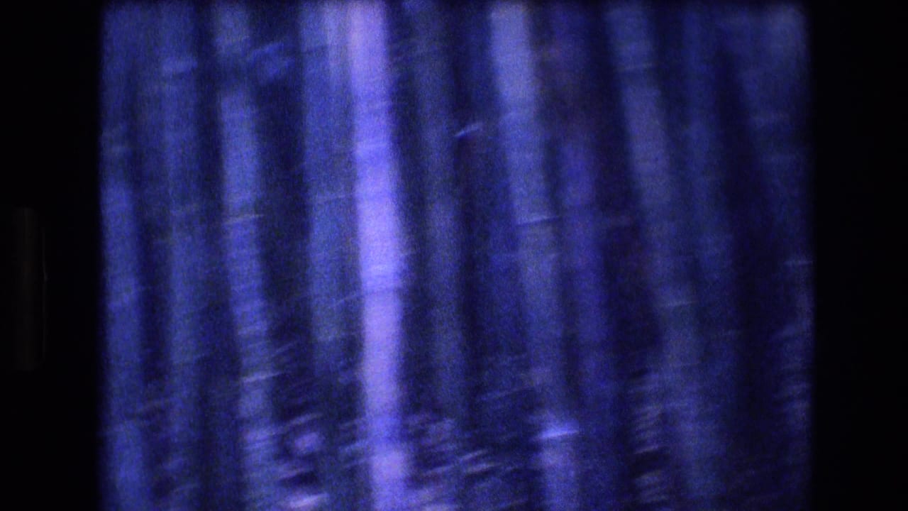Blue-tinted 1977 Honolulu, Oahu home-movie frame showing dark clustered trees and foliage, with soft blur and limited sunlight visible through the canopy.