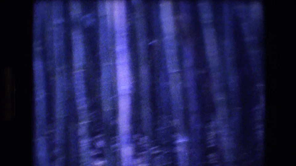 Blue-tinted 1977 Honolulu, Oahu home-movie frame showing dark clustered trees and foliage, with soft blur and limited sunlight visible through the canopy.