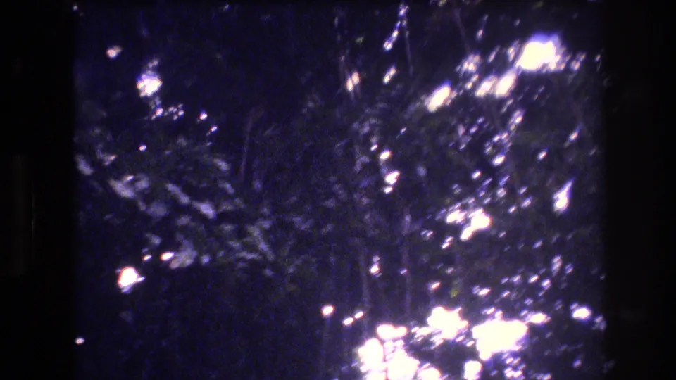 Vintage 8mm home-movie frame showing dense blue-shadowed foliage and clustered bright sunlight near the lower edge of a wooded scene in Honolulu, Oahu.