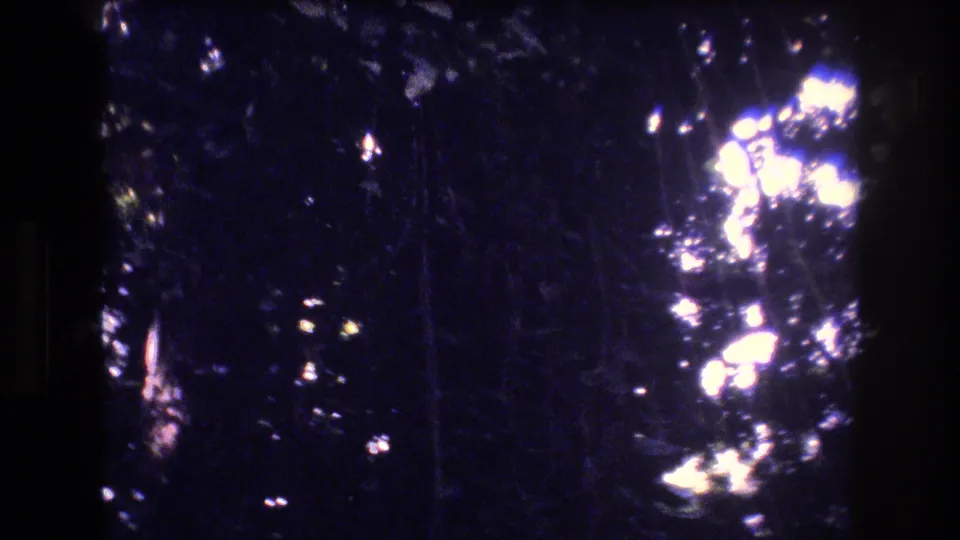 Blue-tinted 1977 Honolulu, Oahu frame showing dark tree forms and foliage, with bright sunlight flaring through leaves along the right edge.
