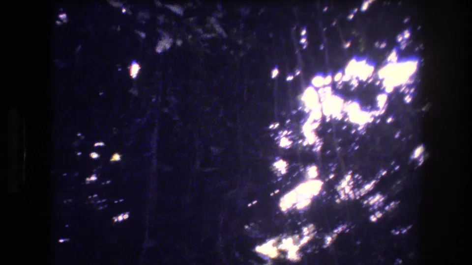 1977 Honolulu 8mm frame looking upward at dark foliage and tree shapes with bright sunlight flaring through the canopy.