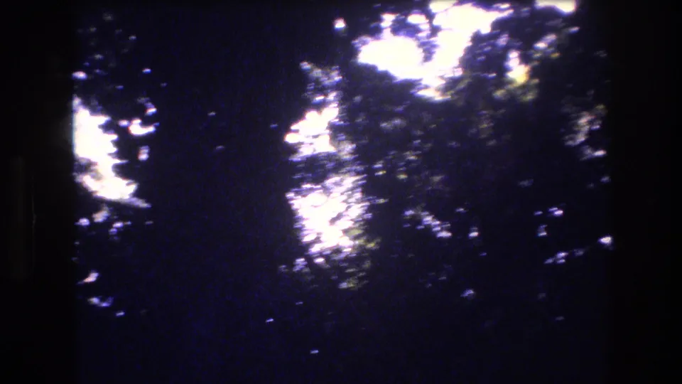 1977 Honolulu 8mm frame with blurred overhead foliage, shimmering sun spots, dark film edges, and a handheld upward-looking viewpoint.