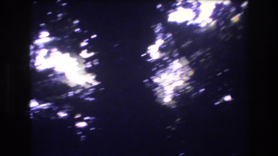 1977 Honolulu home-movie frame showing dark tree foliage, bright lens flare, and heavy blue-purple exposure from an upward canopy view.