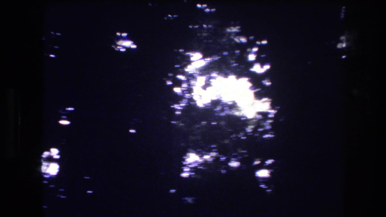 1977 Honolulu, Oahu 8mm frame showing dark tropical foliage with blown-out sun patches filtering through leaves and branches.