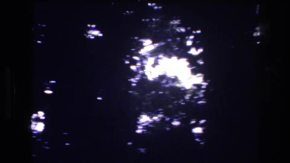 1977 Honolulu, Oahu 8mm frame showing dark tropical foliage with blown-out sun patches filtering through leaves and branches.