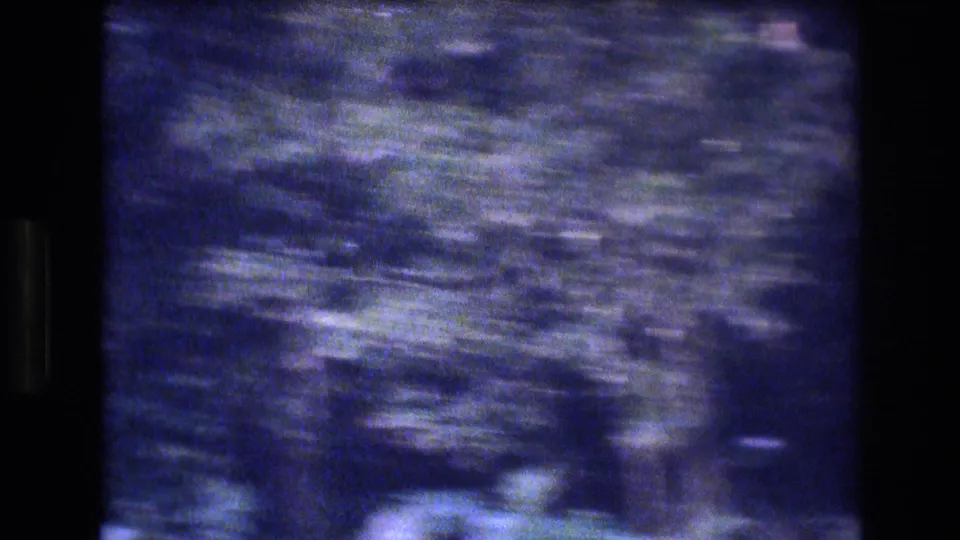 Blue-tinted 8mm frame from the Honolulu, Oahu clip showing rippling pond water with small fish visible beneath or near the surface.