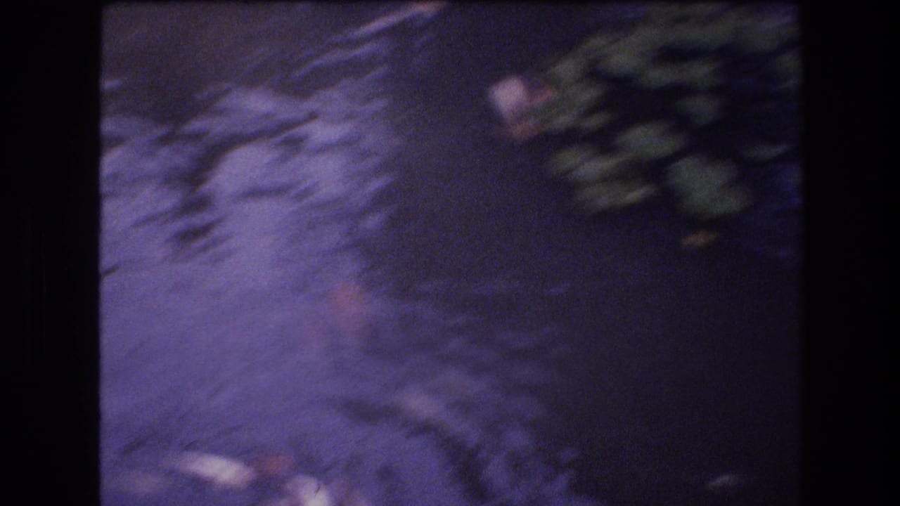 Blurred pond surface with fish shapes beneath rippled water and greenery near the top edge.