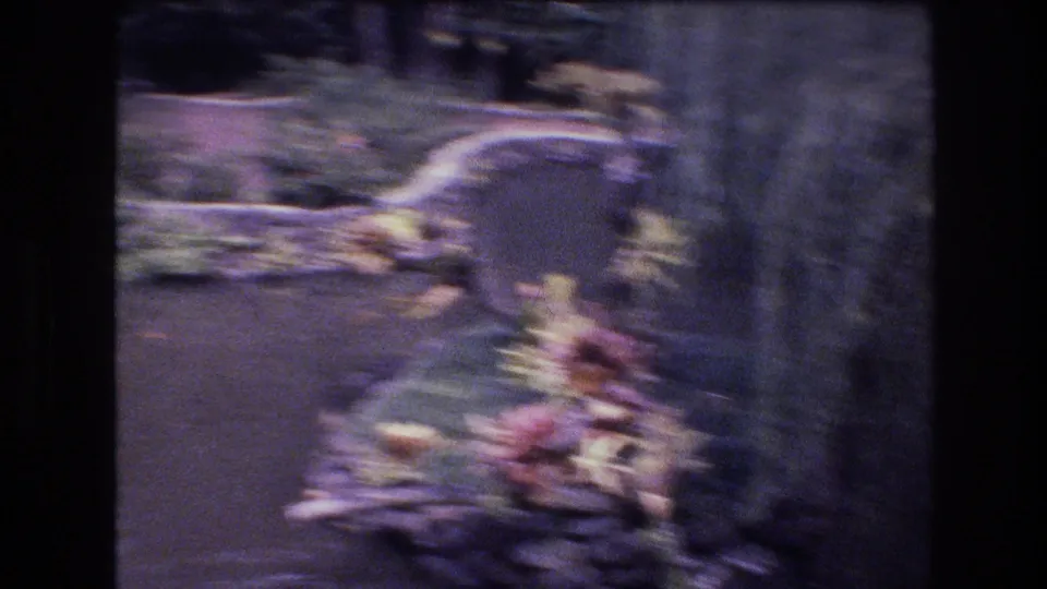 Handheld 1977 Honolulu garden frame with a blurred pond border, rocks, shrubs, and a nearby walkway or bank.