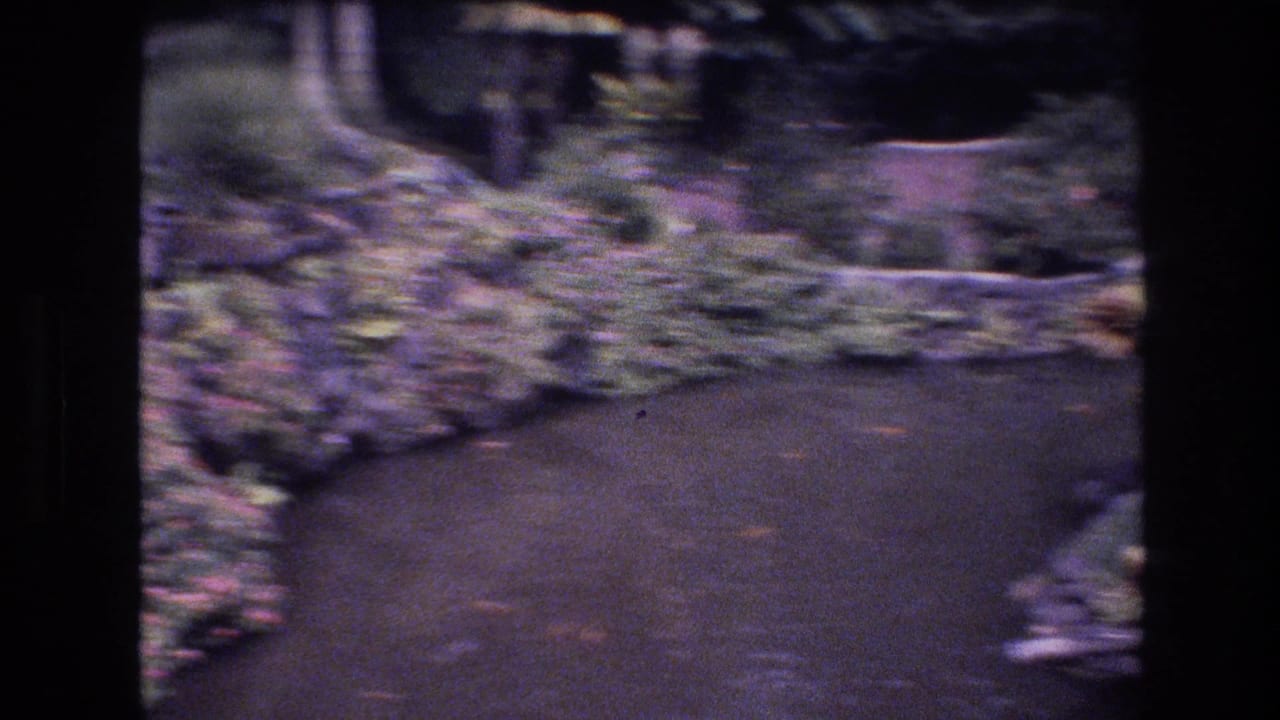 1977 Honolulu home-movie frame showing a shaded garden path curving beside a dark pond bordered by greenery and rough stone edging.